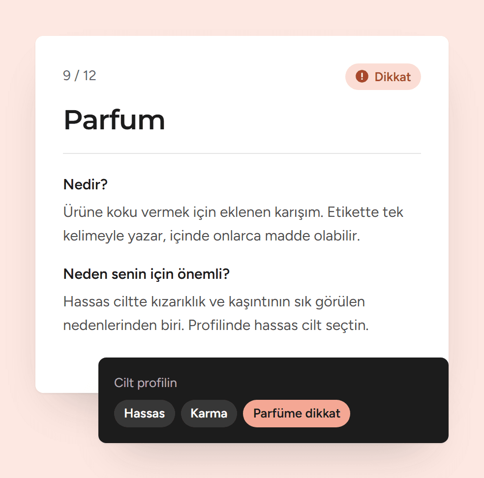 Skin Mirror bileşen açıklaması kartı